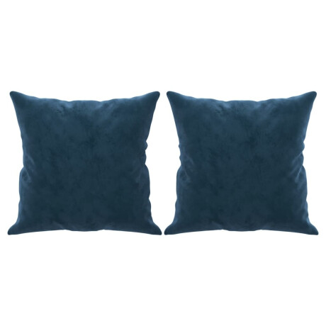 vidaXL Sierkussens 2 st 40x40 cm fluweel blauw afbeelding2 - 1