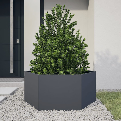 vidaXL Plantenbak zeshoek 104x90x45 cm staal antracietkleurig afbeelding2 - 1