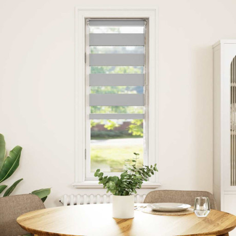 vidaXL Zebra rolgordijn 45x100 cm stofbreedte 40,9 cm lichtgrijs afbeelding2 - 1