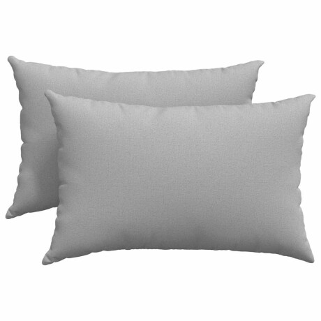 vidaXL Sofa Kussens 2 pcs Wolkengrijs 60 x 40 cm Stof afbeelding2 - 1