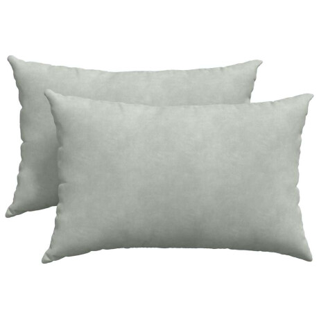 vidaXL Sofa Kussens 2 stuks Lichtgrijs 60 x 40 cm Cordstof afbeelding2 - 1