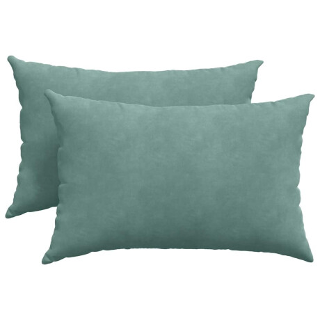 vidaXL Sofa Kussens 2 stuks Zeegroen 60 x 40 cm Cordstof afbeelding2 - 1