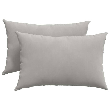 vidaXL Sofa Kussens 2 stuks Lichtgrijs 60 x 40 cm Stof afbeelding2 - 1