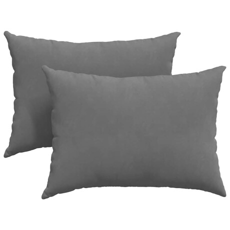 vidaXL Sofa Kussens 2 stuks Donkergrijs 70 x 50 cm Stof afbeelding2 - 1