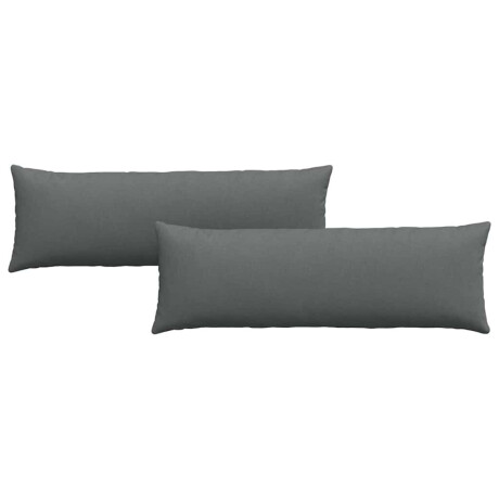 vidaXL Sofa Kussens 2 pcs Donkergrijs 120 x 40 cm Stof afbeelding2 - 1