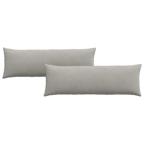 vidaXL Sofa Kussens 2 stuks Lichtgrijs 120 x 40 cm Stof afbeelding2 - 1