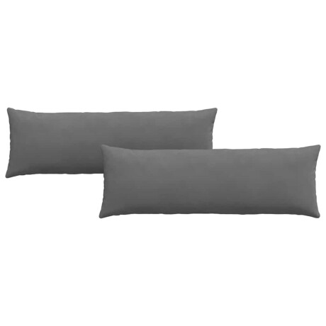 vidaXL Sofa Kussens 2 stuks Donkergrijs 120 x 40 cm Stof afbeelding2 - 1