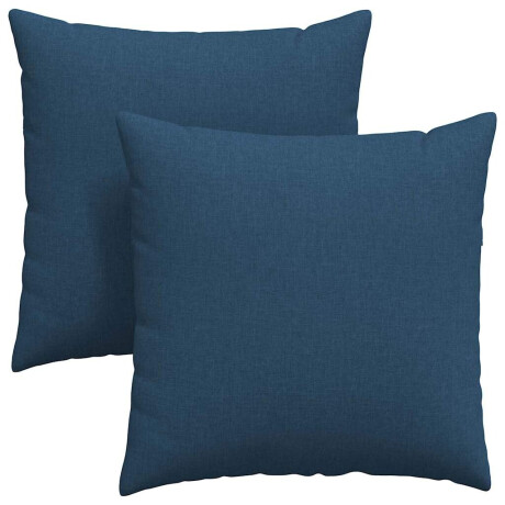 vidaXL Sofa Kussens 2 pcs Blauw 60 x 60 cm Stof afbeelding2 - 1
