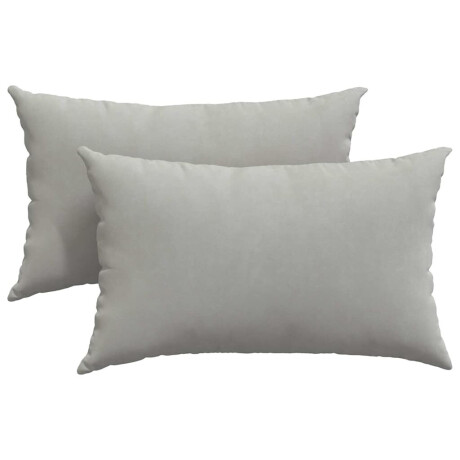 vidaXL Sofa Kussens 2 stuks Lichtgrijs 50 x 30 cm Stof afbeelding2 - 1