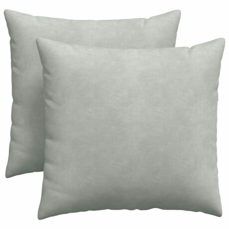 vidaXL Sofa Kussens 2 stuks Lichtgrijs 45 x 45 cm Cordstof afbeelding2 - 1