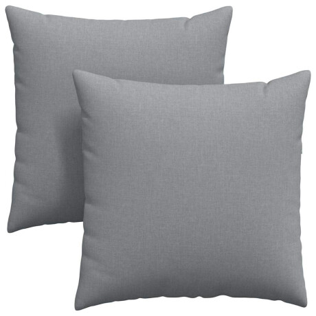 vidaXL Sofa Kussens 2 pcs Lichtgrijs 60 x 60 cm Stof afbeelding2 - 1
