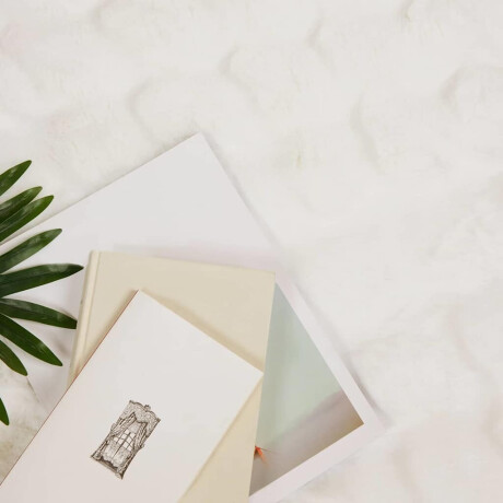 vidaXL Neppels Konijnenbont Deken 4 pcs Wit 220 x 240 cm Polyester afbeelding2 - 1