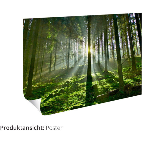 Artland Artprint Antieke struik_licht als artprint van aluminium, artprint voor buiten, artprint op linnen, poster in verschillende maten. maten afbeelding2 - 1