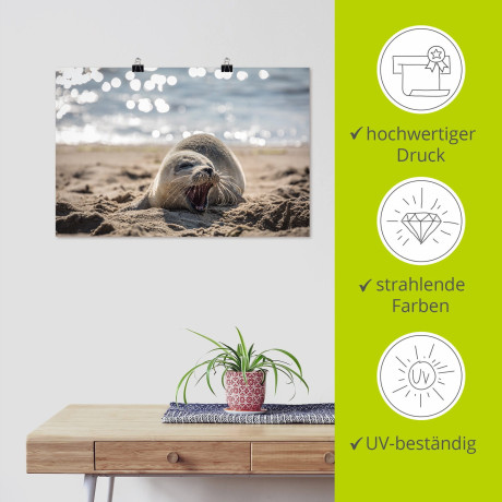 Artland Artprint Baby-rob aan het strand van List, Sylt als poster, muursticker in verschillende maten afbeelding2 - 1