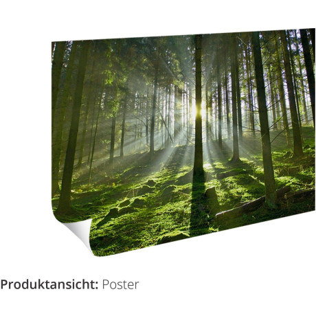 Artland Artprint Boeddha-beeld voor zonsondergang als artprint van aluminium, artprint op linnen, muursticker of poster in verschillende maten afbeelding2 - 1