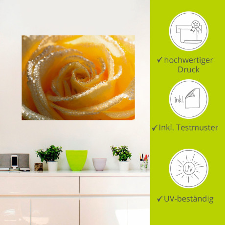 Artland Artprint Gele roos macro als artprint op linnen, muursticker in verschillende maten afbeelding2 - 1