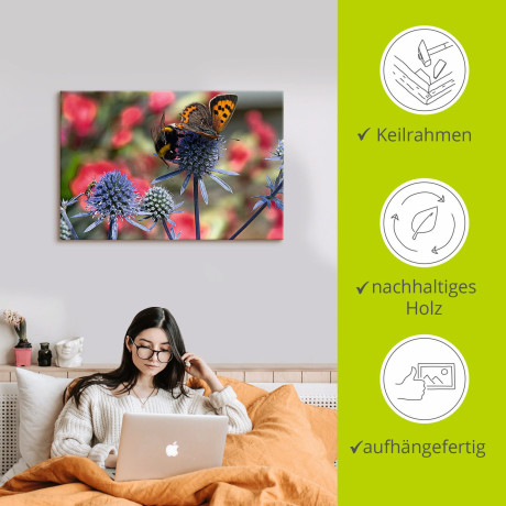 Artland Artprint Kleine vuurvlinder en hommel als artprint van aluminium, artprint op linnen, muursticker, verschillende maten afbeelding2 - 1