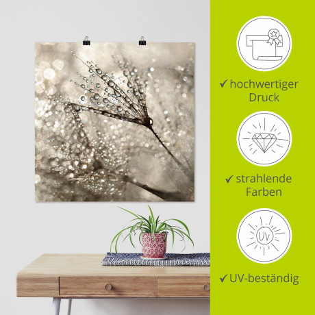 Artland Artprint Pluizenbol dauwdruppel als artprint van aluminium, artprint voor buiten, artprint op linnen, poster, muursticker afbeelding2 - 1