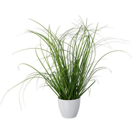 Creativ green Kunstgras Grasmix set van 3, in een decoratieve plastic pot (3 stuks) afbeelding2 - 1