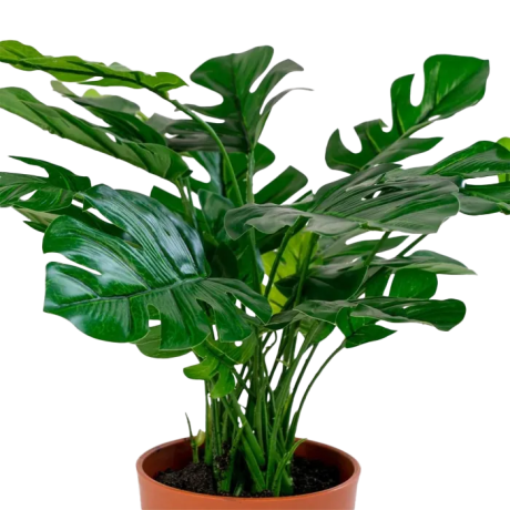 Denise Monstera kunstplant - 45 cm afbeelding2 - 1