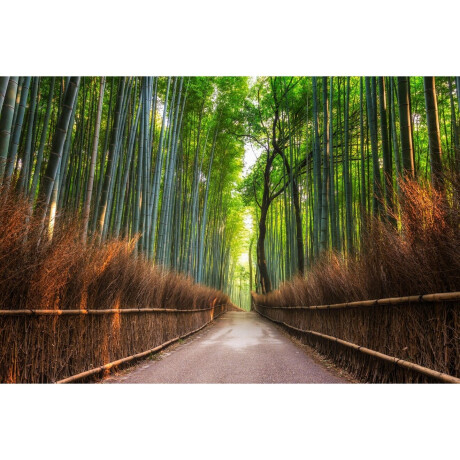 Papermoon Fotobehang Bamboe Grove of Kyoto afbeelding2 - 1