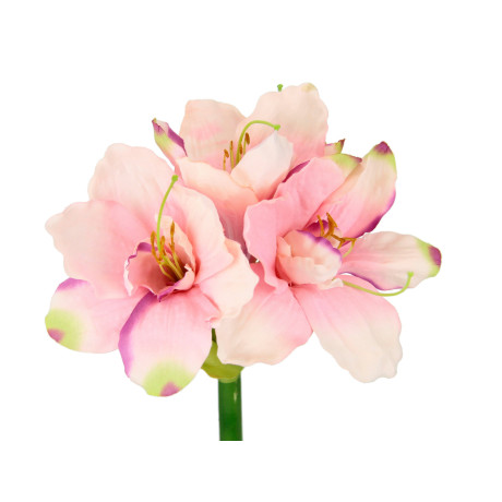 I.GE.A. Kunstbloem Amaryllis (3 stuks) afbeelding2 - 1