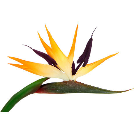 I.GE.A. Kunstbloem Künstliche Blume Strelitzie Paradiesvogelblume Exotischer Dekozweig (3 stuks) afbeelding2 - 1