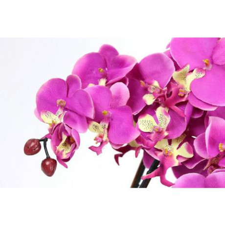 I.GE.A. Kunstbloem Künstliche Orchidee in Schale Phalaenopsis Kunstblume Blume (1 stuk) afbeelding2 - 1