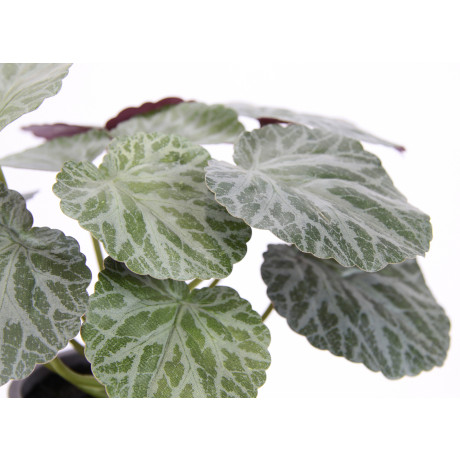 I.GE.A. Kunstplant Kunstmatige plant begonia in pot begonia struik bladplant (2 stuks) afbeelding2 - 1