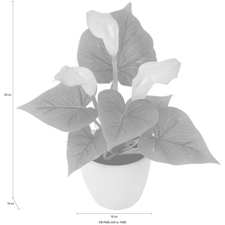 I.GE.A. Kunstplant Mini calla (set, 3 stuks) afbeelding2 - 1