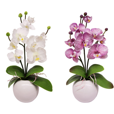 I.GE.A. Kunstplant Orchidee (set, 2 stuks) afbeelding2 - 1