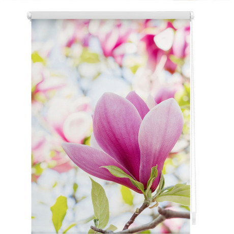 LICHTBLICK Rolgordijn met zijbediening Rolgordijn Klemmfix, zonder boren, verduistering, magnolia - roze (1 stuk) afbeelding2 - 1