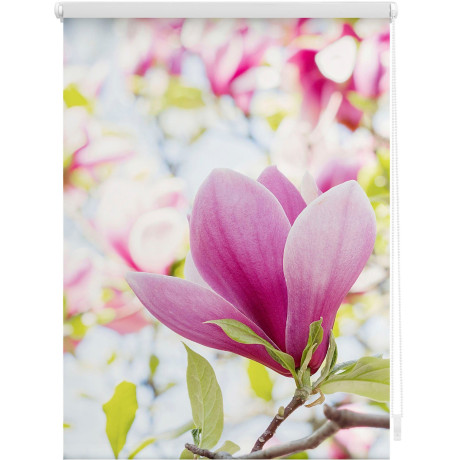 LICHTBLICK Rolgordijn met zijbediening Rolgordijn Klemmfix, zonder boren, verduistering, magnolia - roze (1 stuk) afbeelding2 - 1