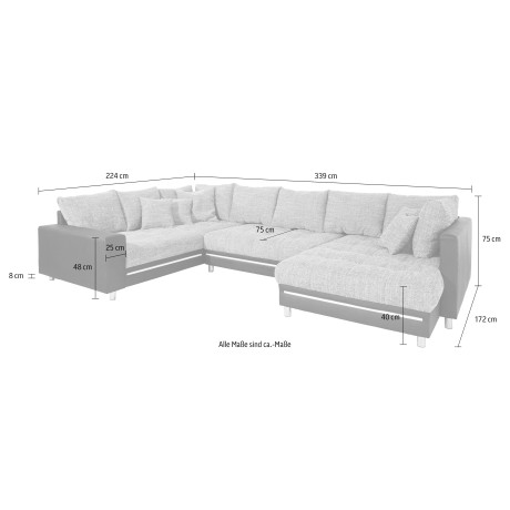 Mr. Couch Zithoek Tobi naar keuze met koudschuim (140 kg belasting/zitting) en rgb-verlichting afbeelding2 - 1