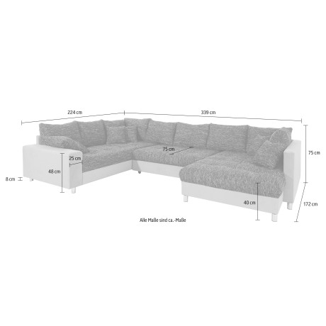 Mr. Couch Zithoek Tobi naar keuze met koudschuim (140 kg belasting/zitting) en rgb-verlichting afbeelding2 - 1