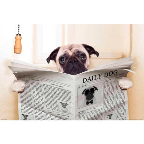 Papermoon Fotobehang Newspaper Dog afbeelding2 - 1