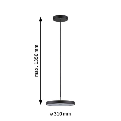 Paulmann Led-hanglamp Hildor 20W 300 mm Zwart 230V 2700K Metaal/Kunststof afbeelding2 - 1