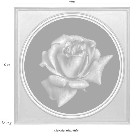 queence Artprint op acrylglas Bloem afbeelding2 - 1