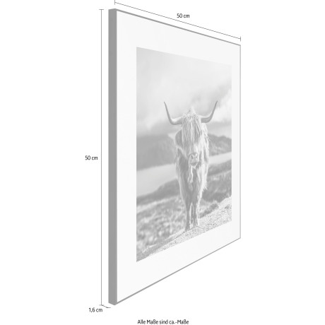 Reinders! Artprint Slim Frame Black 50x50 Highland Cow afbeelding2 - 1