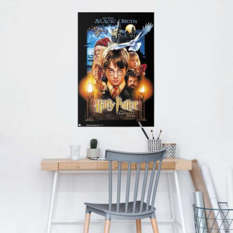 Reinders! Poster Harry Potter afbeelding2 - 1