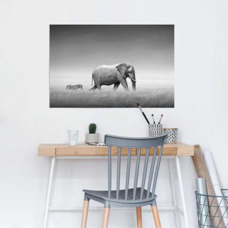 Reinders! Poster Koningen van de natuur olifant afbeelding2 - 1