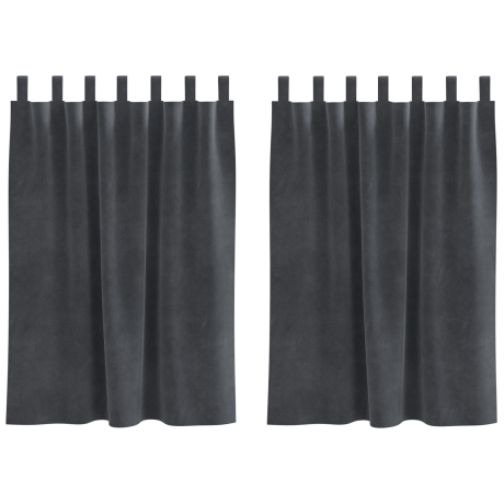 vidaXL Gordijnen 2 st verduisterend met lussen fluweel lichtgrijs afbeelding2 - 1