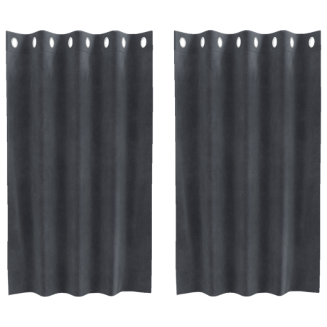 vidaXL Gordijnen 2 st verduisterend met ringen fluweel lichtgrijs afbeelding2 - 1