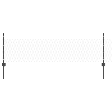 vidaXL Tuinafscheiding Set Set van 2 Grijs Metaal Groot Duurzaam afbeelding2 - 1