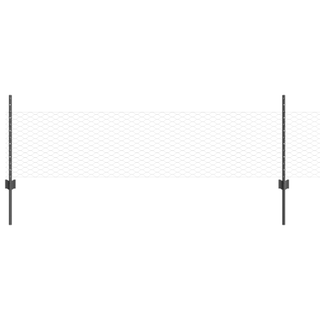 vidaXL Tuinhek Set Verpakking van 2 Grijs Metaal Groot Uitbreidbaar afbeelding2 - 1