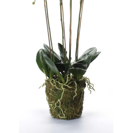 Emerald Kunstplant orchidee met mos wit 90 cm 20.355 afbeelding3 - 1