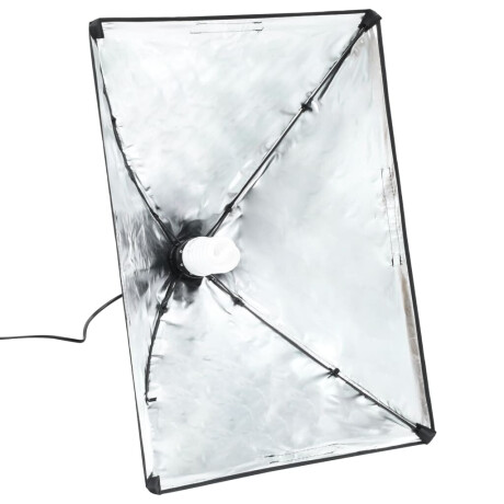 vidaXL Professionele studiolampen 2 st 40x60 cm staal zwart afbeelding3 - 1
