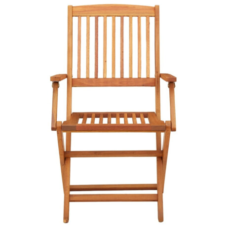 vidaXL Tuinstoelen 4 st inklapbaar massief eucalyptushout afbeelding3 - 1
