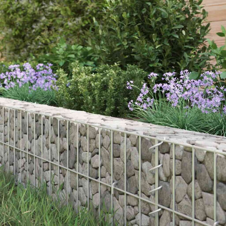 vidaXL Gabion plantenbak verhoogd 100x100x20 cm gegalvaniseerd staal afbeelding3 - 1