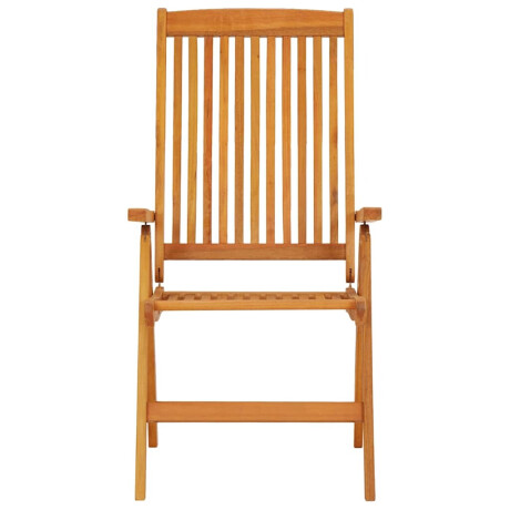 vidaXL Tuinstoelen 2 st inklapbaar massief eucalyptushout afbeelding3 - 1